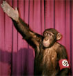 images/avatars/avatar-444.jpg